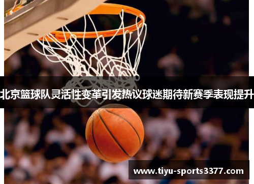 北京篮球队灵活性变革引发热议球迷期待新赛季表现提升