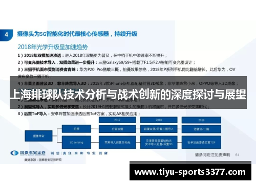 上海排球队技术分析与战术创新的深度探讨与展望