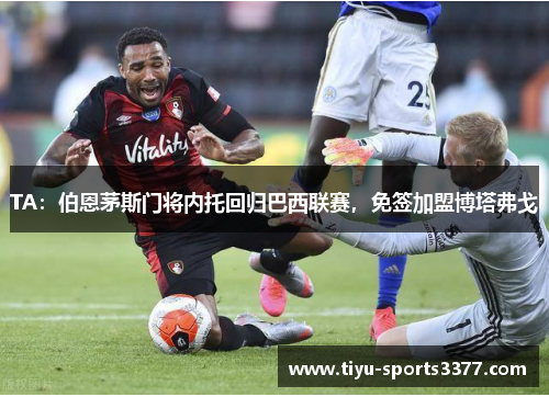 TA：伯恩茅斯门将内托回归巴西联赛，免签加盟博塔弗戈